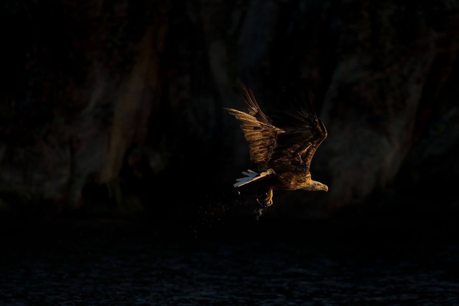 Ørnenes rike (kopia) — 3