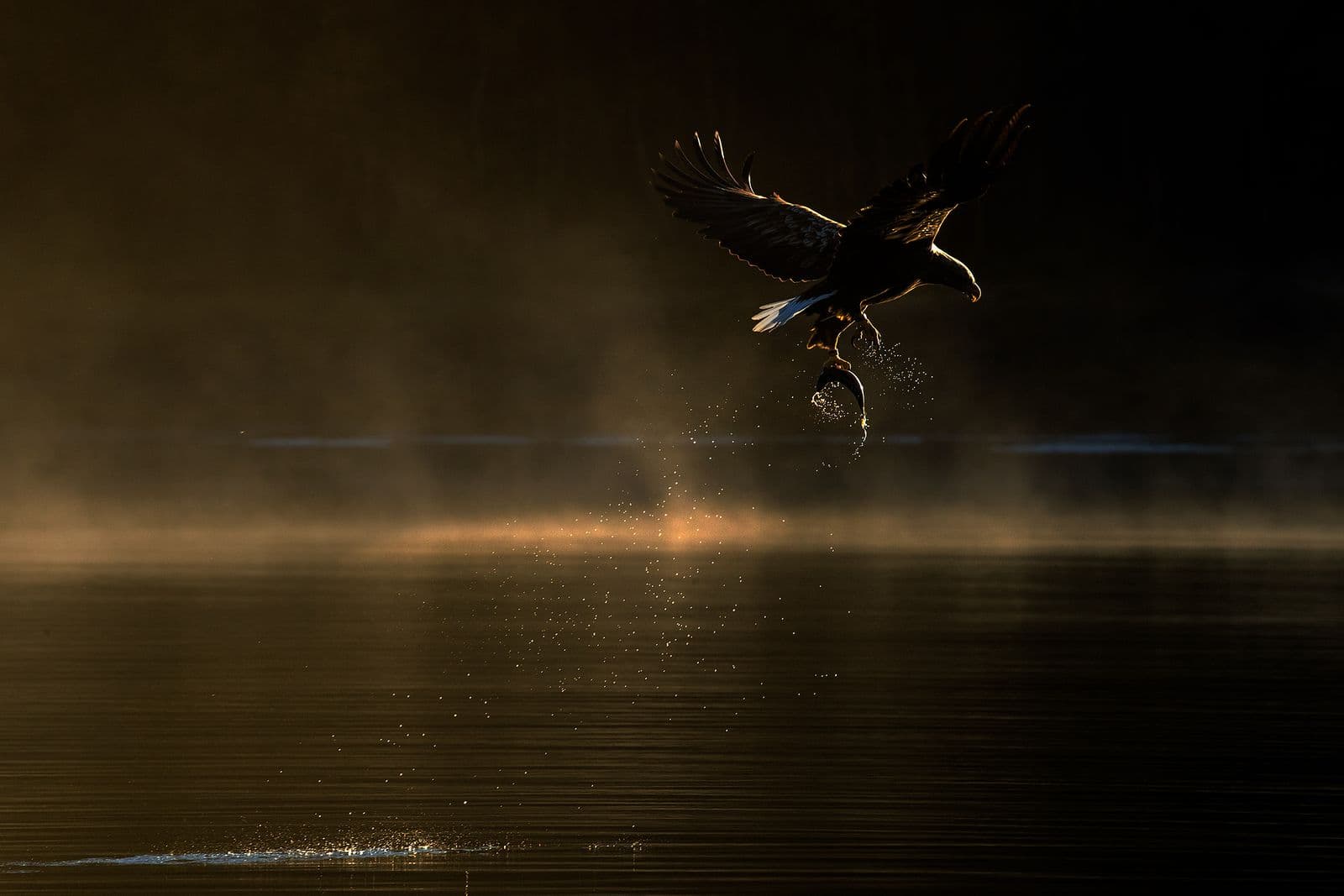 Ørnenes rike høstfarger