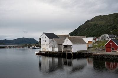 Lunder på Runde — 22