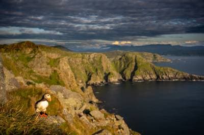 Lunder på Runde — 32