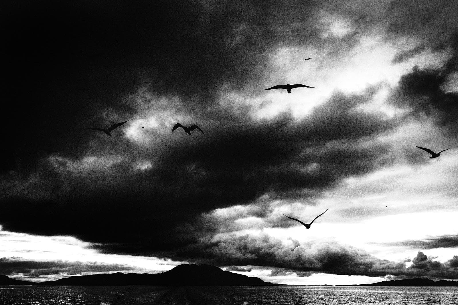 Vinter i ørneriktet — 11