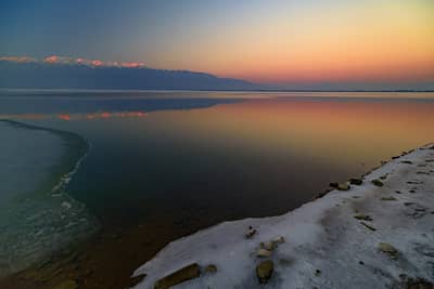 Gribb og pelikaner — 21