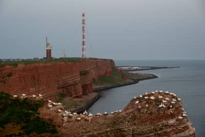 Helgoland (kopia) — 36