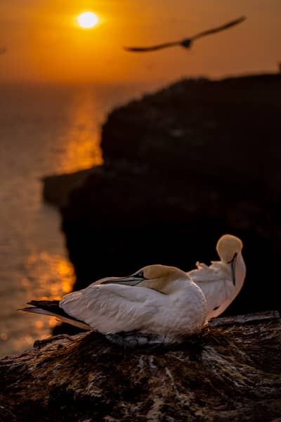 Helgoland (kopia) — 20