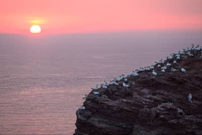 Helgoland (kopia) — 38