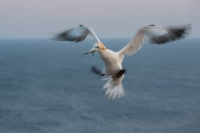 Helgoland (kopia) — 45