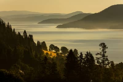 Ørnenes rike — 20