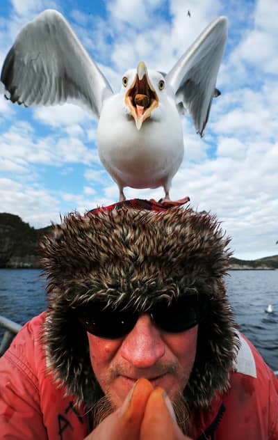 Ørnenes rike — 19