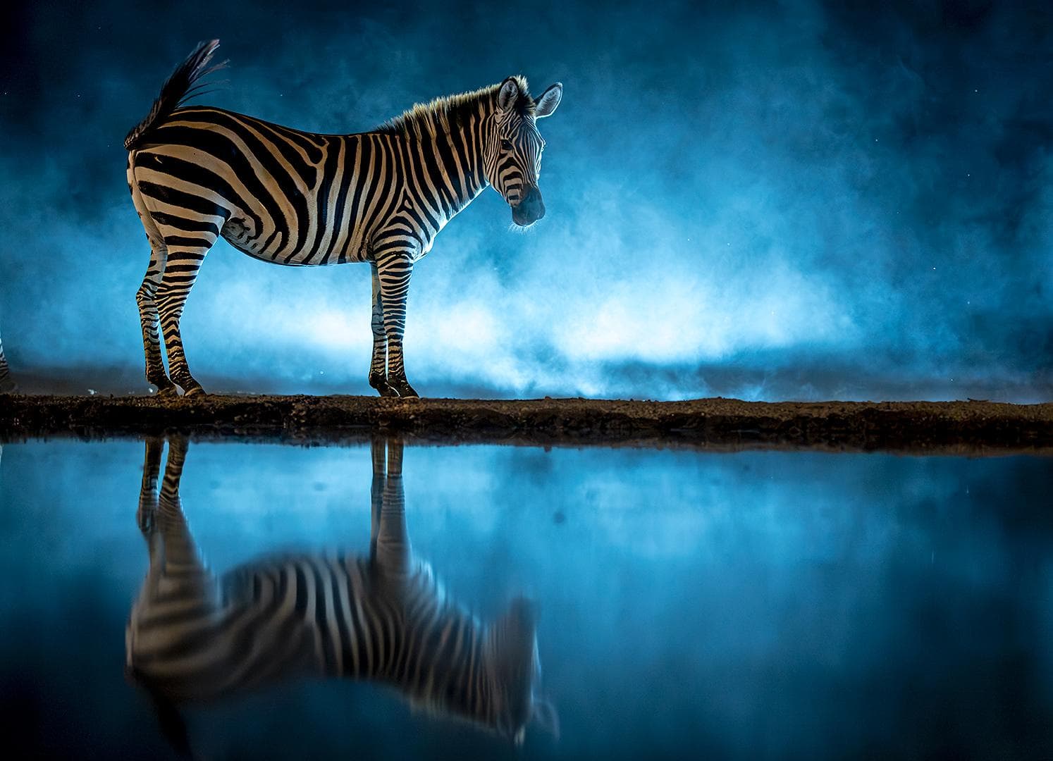 Skjulfotografering i Shompole Wilderness — 13
