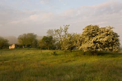 Ungarn vår (kopia) — 36