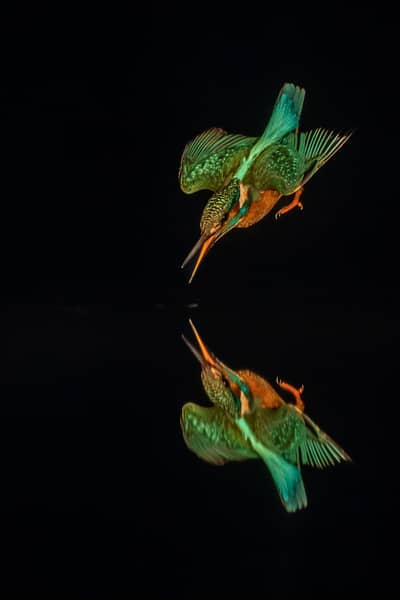 Ungarn vår (kopia) — 27