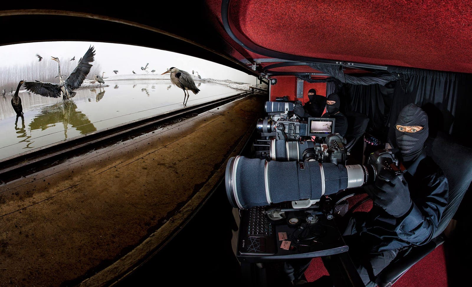 Ungarn — Europas beste fugleskjul