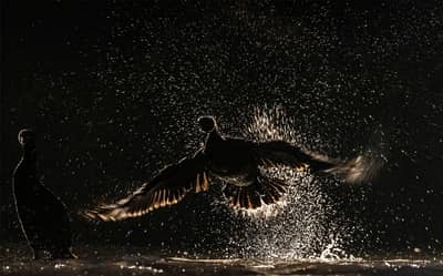 Ungarn vinter — 28