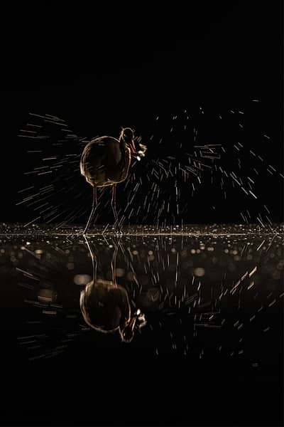 Ungarn vinter — 13