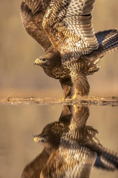 Ungarn vinter — 27