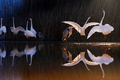 Ungarn vinter — 15