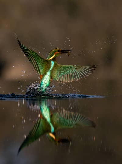 Ungarn vinter — 31