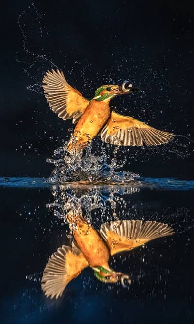 Ungarn vinter — 12