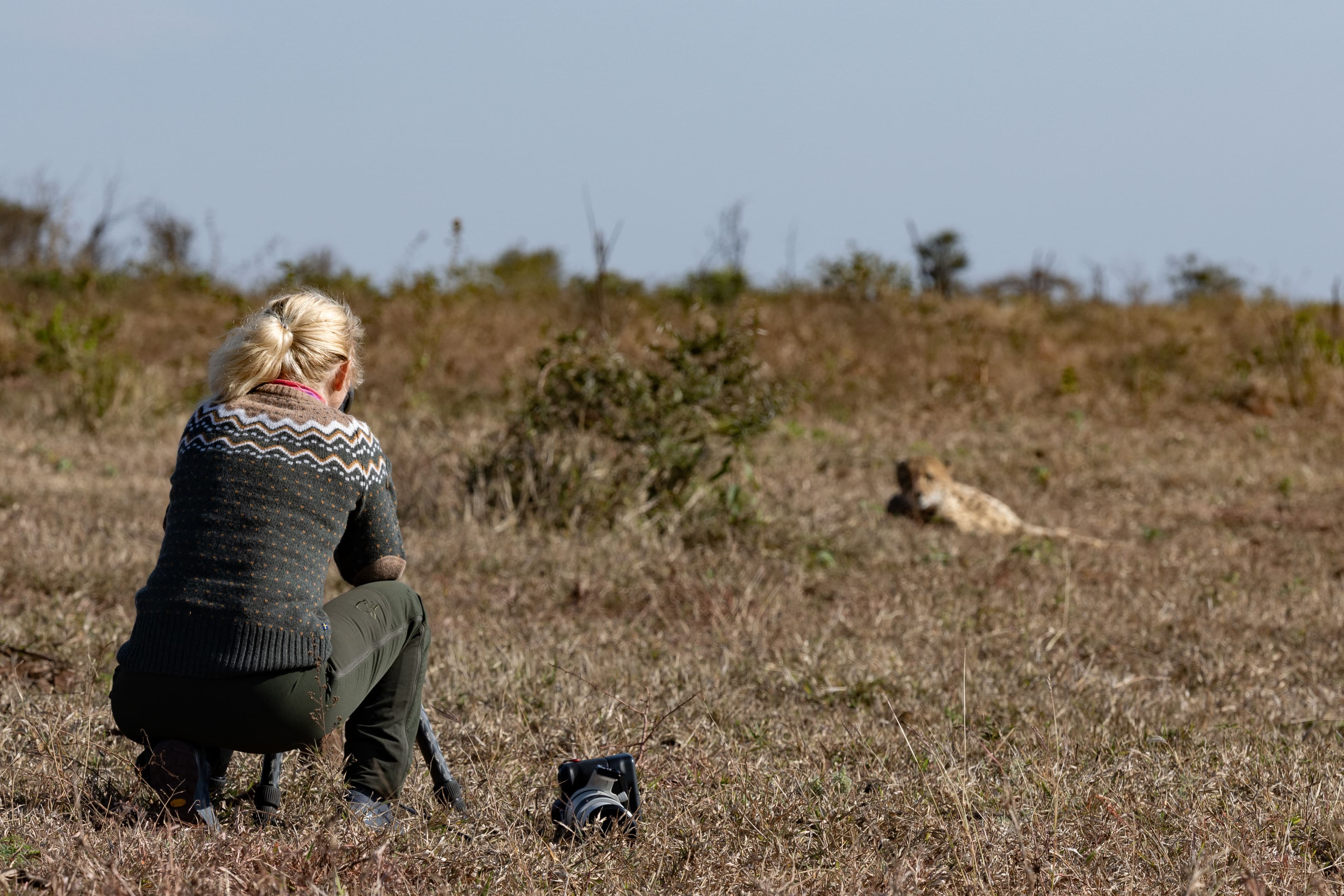 Deltaker fotograferer gepard på trygg avstand